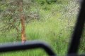 IMG_2958.JPG