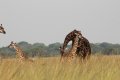 IMG_3867.JPG
