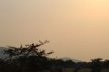 IMG_4176.JPG