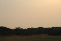 IMG_4181.JPG